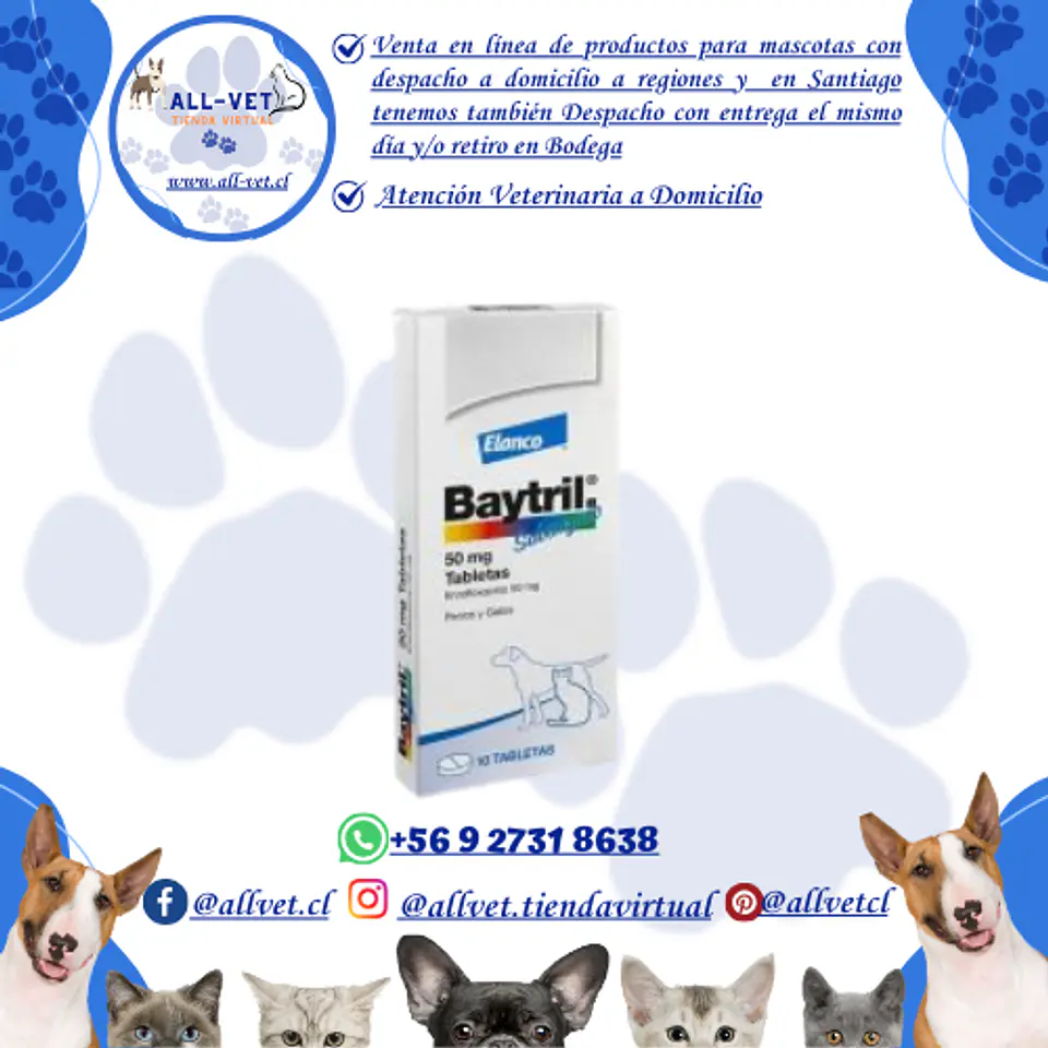 Baytril Saborizado 50 mg  10 Comprimidos - Venta con Receta Médica 1