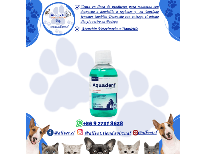 Aquadent 250 ml 1