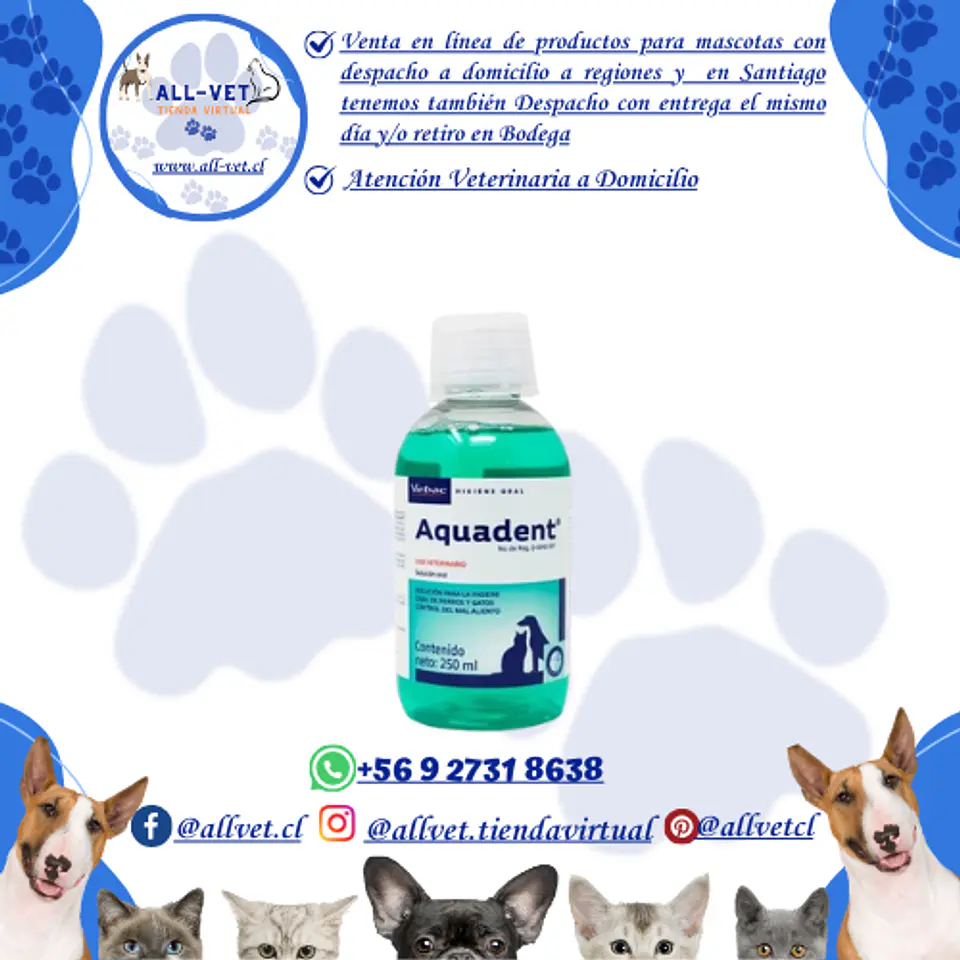 Aquadent 250 ml 1