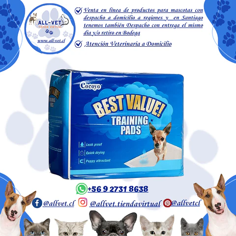 Sabanillas para Perros Cocoyo 56x56 cm 100 und