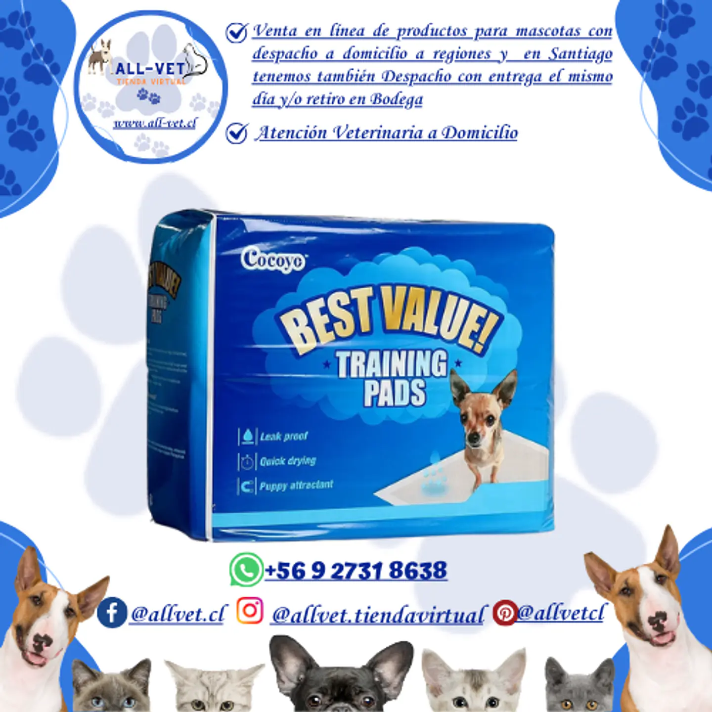 Sabanillas para Perros Cocoyo 56x56 cm 100 und 1