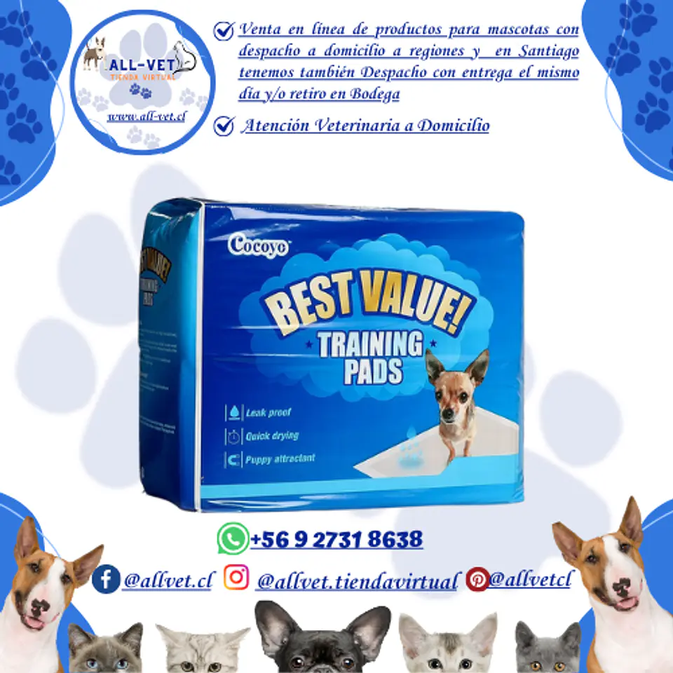 Sabanillas para Perros Cocoyo 56x56 cm 100 und 1