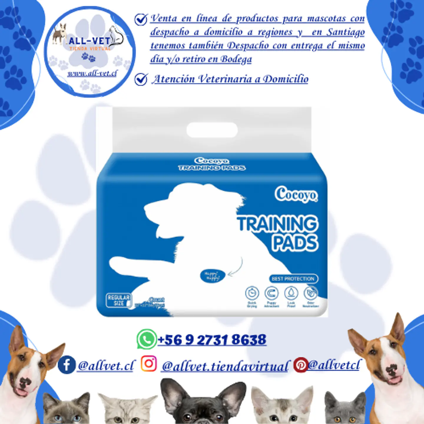 Sabanillas para Perros Cocoyo 56x56 cm 100 und 2