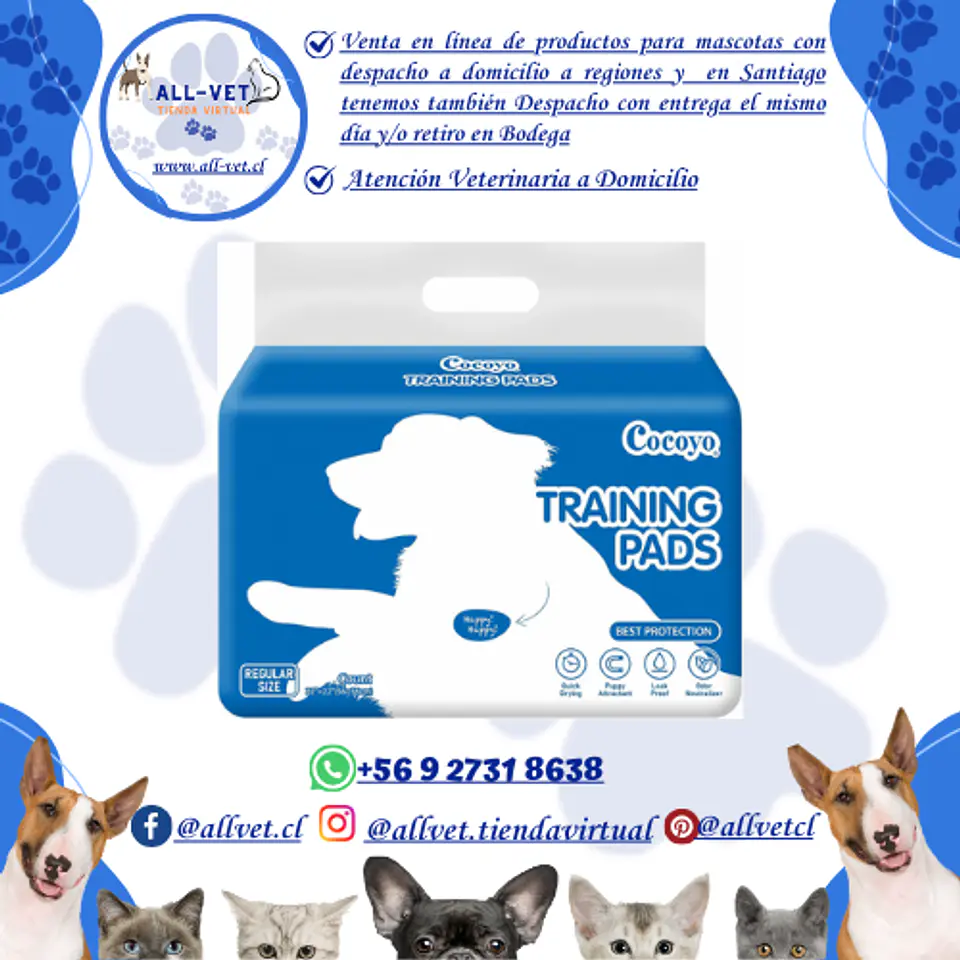 Sabanillas para Perros Cocoyo 56x56 cm 100 und 2