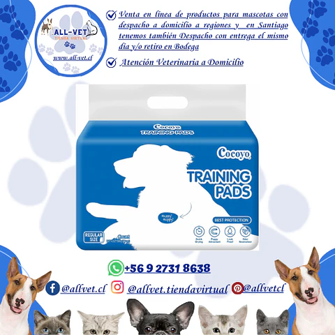 Sabanillas para Perros Cocoyo 56x56 cm 50 und