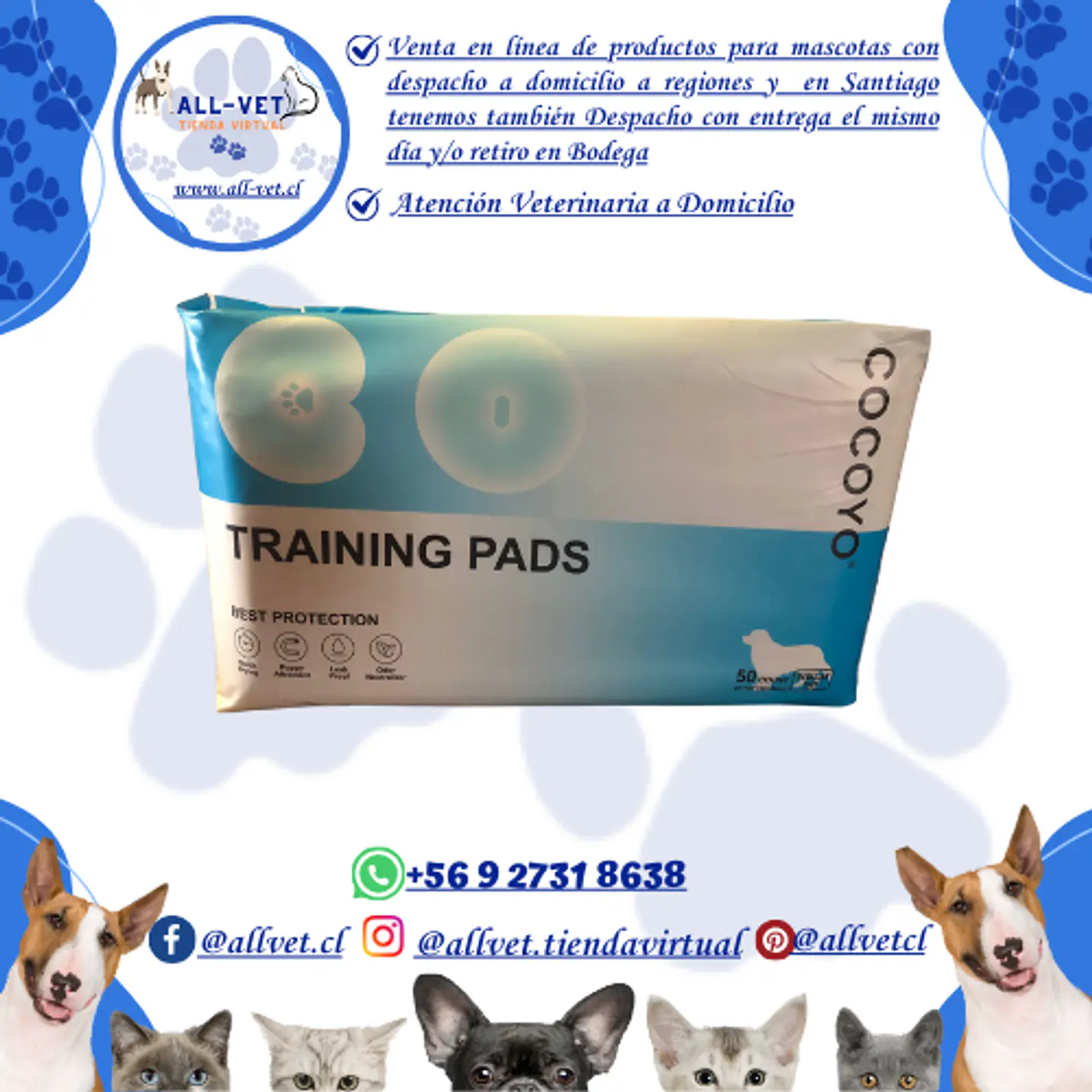 Sabanillas para Perros Cocoyo 56x56 cm 50 und 2