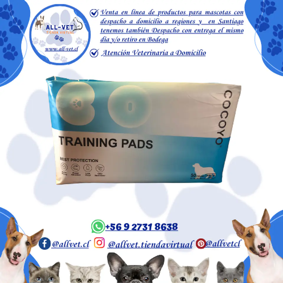 Sabanillas para Perros Cocoyo 56x56 cm 50 und 2