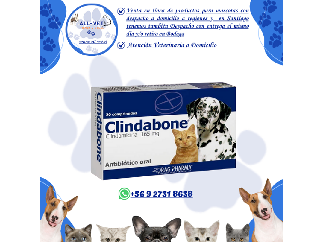 Clindabone 20 Comprimidos 1