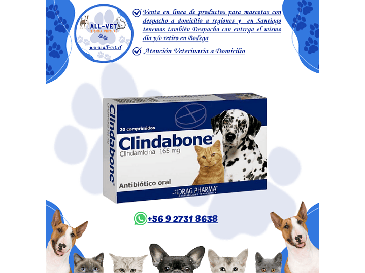 Clindabone 20 Comprimidos 1