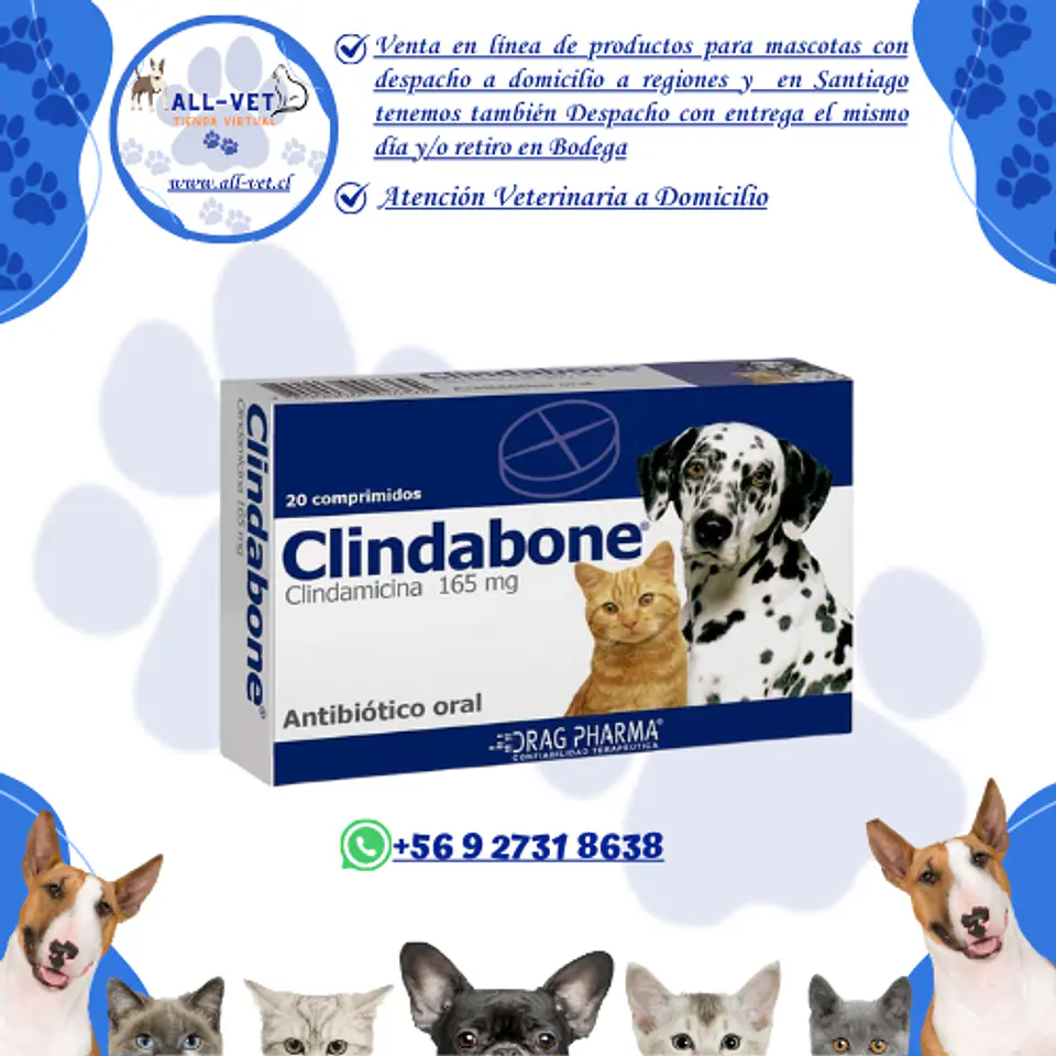 Clindabone 20 Comprimidos 1