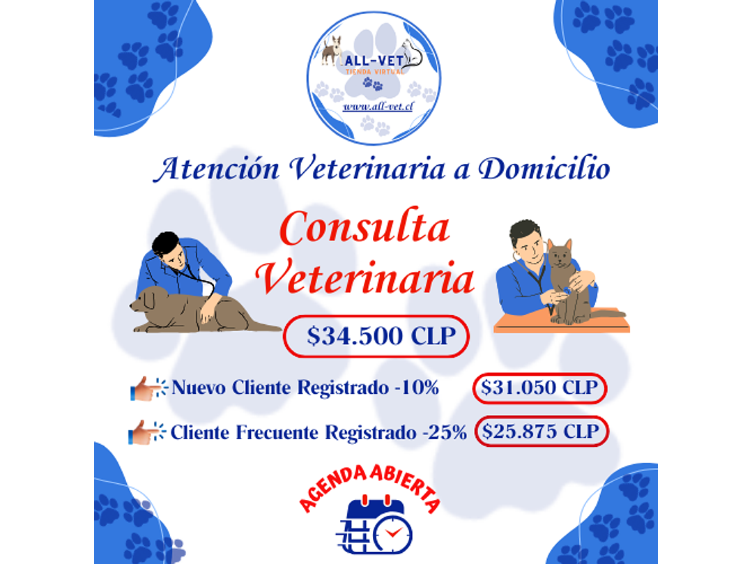 Consulta Veterinaria a Domicilio en Santiago - Con Agenda en Línea 1