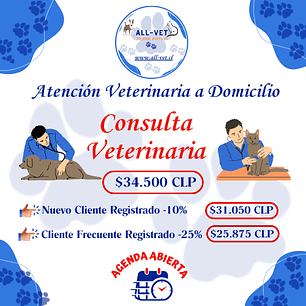 Consulta Veterinaria a Domicilio en Santiago - Con Agenda en Línea