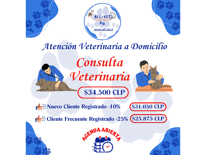 Consulta Veterinaria a Domicilio en Santiago - Con Agenda en Línea 1