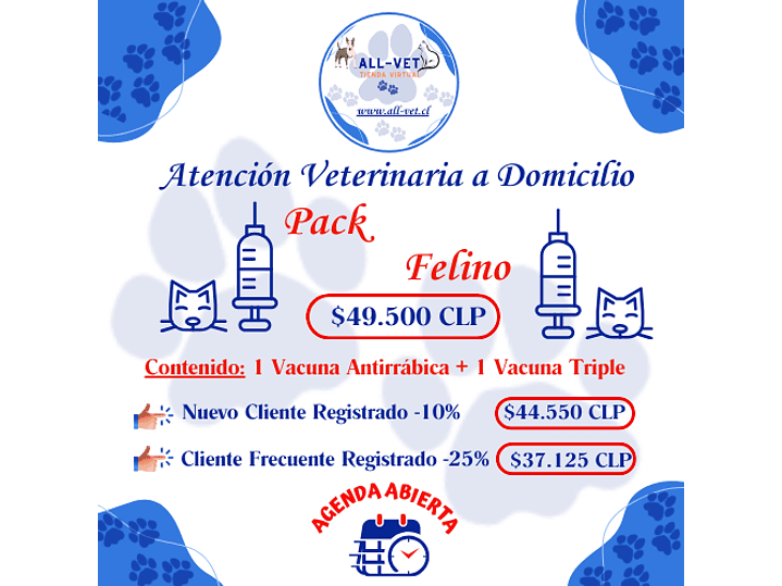 Pack de Vacunas Felinas a Domicilio en Santiago - Con Agenda en Línea 1