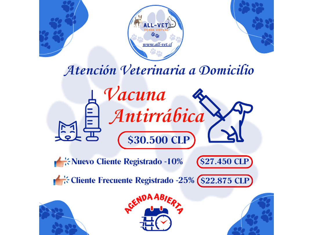 Vacuna Antirrábica a Domicilio en Santiago - Con Agenda en Línea 1