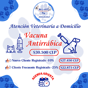 Vacuna Antirrábica a Domicilio en Santiago - Con Agenda en Línea