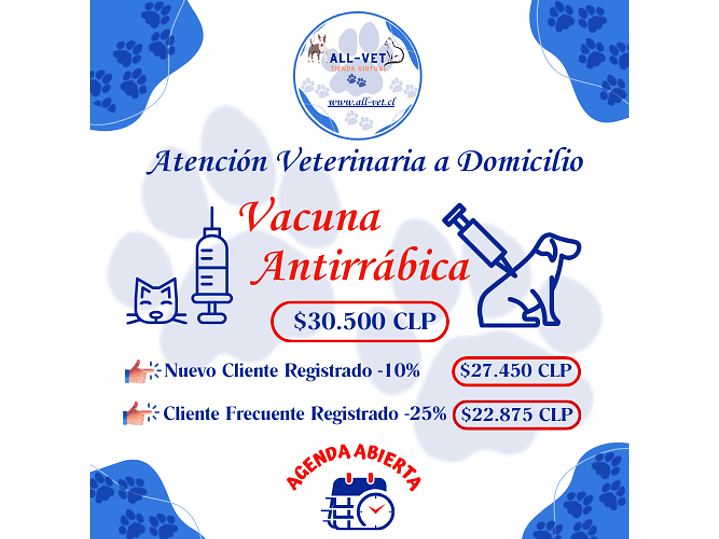 Vacuna Antirrábica a Domicilio en Santiago - Con Agenda en Línea 1