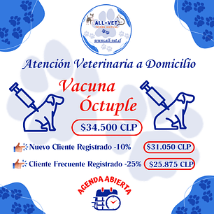 Vacuna Octuple Canina a Domicilio en Santiago - Con Agenda en Línea