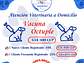 Vacuna Octuple Canina a Domicilio en Santiago - Con Agenda en Línea - Miniatura 1