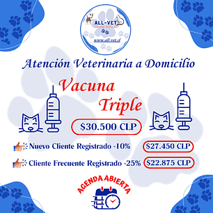 Vacuna Triple Felina a Domicilio en Santiago - Con Agenda en Línea
