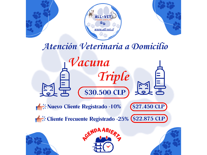 Vacuna Triple Felina a Domicilio en Santiago - Con Agenda en Línea 1