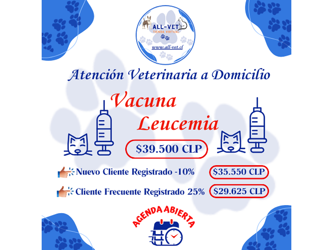 Vacuna Leucemia Felina a Domicilio en Santiago - Con Agenda en Línea 1