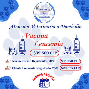 Vacuna Leucemia Felina a Domicilio en Santiago - Con Agenda en Línea