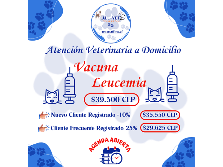 Vacuna Leucemia Felina a Domicilio en Santiago - Con Agenda en Línea 1