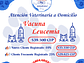 Vacuna Leucemia Felina a Domicilio en Santiago - Con Agenda en Línea - Miniatura 1