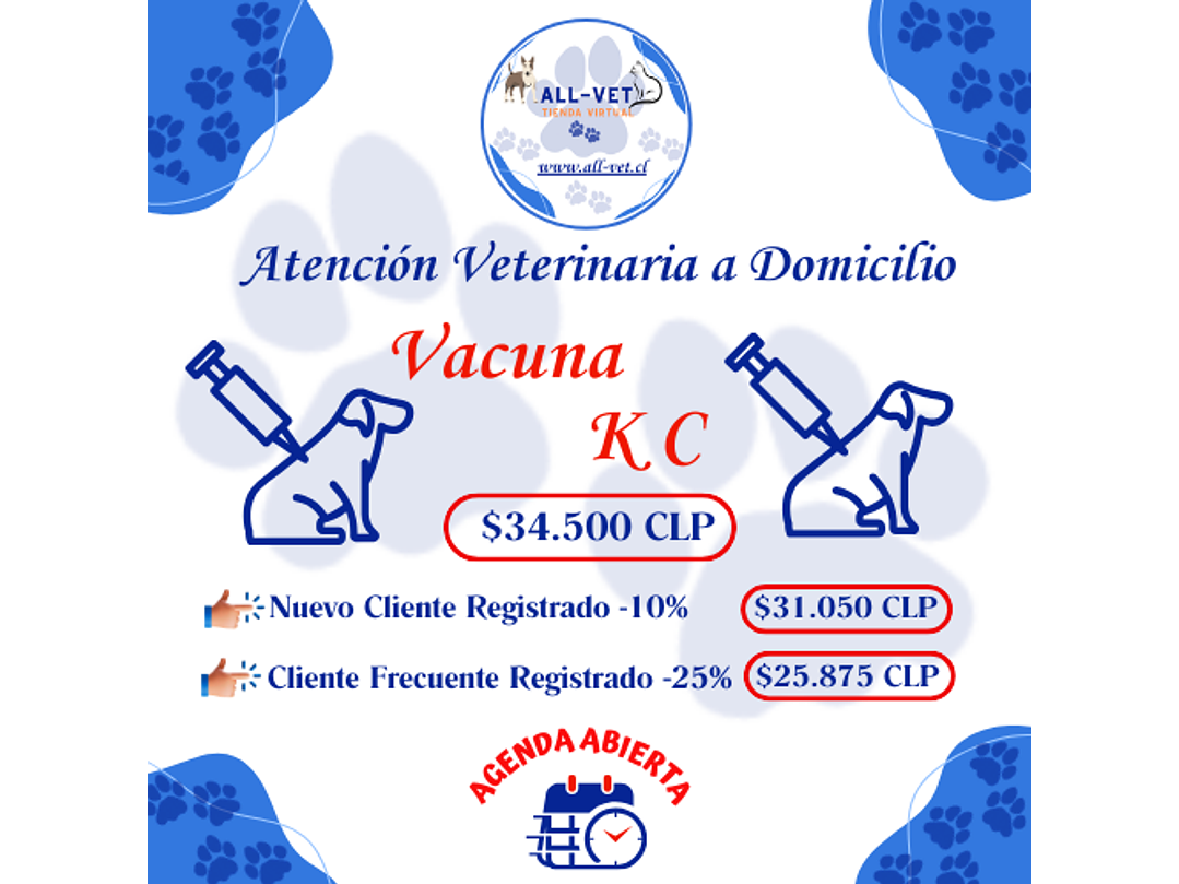 Vacuna KC Canina a Domicilio en Santiago - Con Agenda en Línea 1