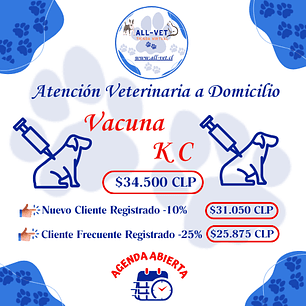 Vacuna KC Canina a Domicilio en Santiago - Con Agenda en Línea