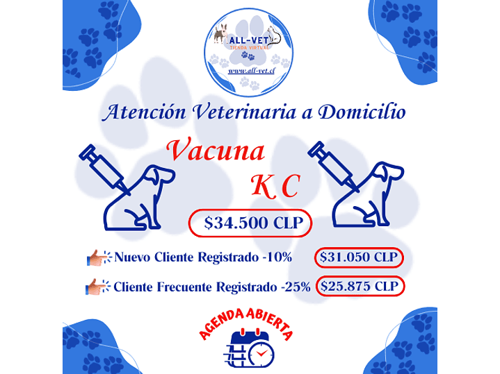 Vacuna KC Canina a Domicilio en Santiago - Con Agenda en Línea 1