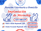 Implantación de Chip para Mascotas a Domicilio en Santiago - Con Agenda en Línea - Miniatura 1