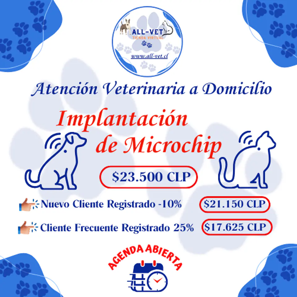 Implantación de Chip para Mascotas a Domicilio en Santiago - Con Agenda en Línea 1