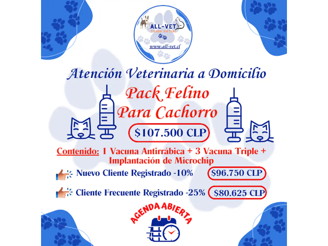 Pack Felino para Cachorros a Domicilio en Santiago - Con Agenda en Línea 1