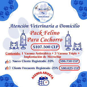 Pack Felino para Cachorros a Domicilio en Santiago - Con Agenda en Línea