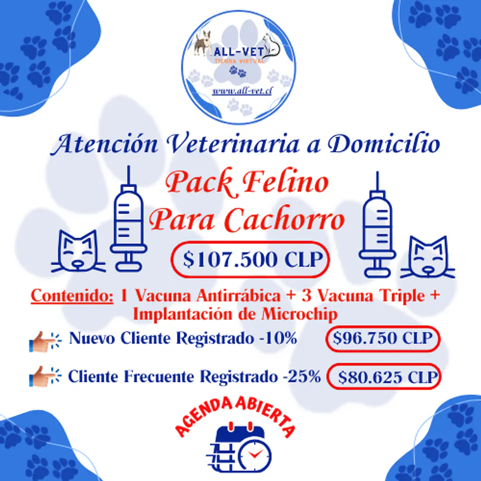 Pack Felino para Cachorros a Domicilio en Santiago - Con Agenda en Línea 1
