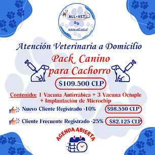 Pack Canino para Cachorros a Domicilio en Santiago - Con Agenda en Línea