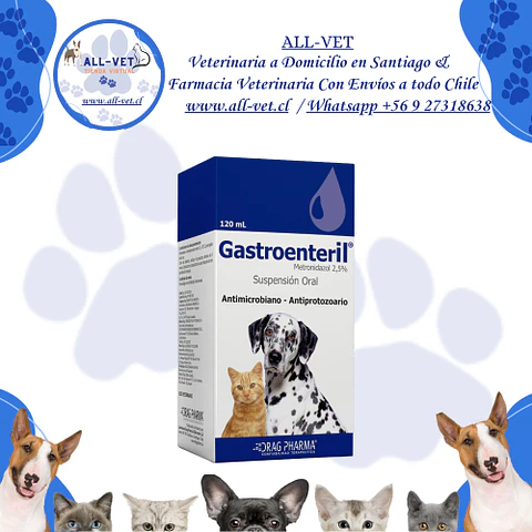 Gastroenteril Suspensión 120 ML  / Venta con Receta Médica