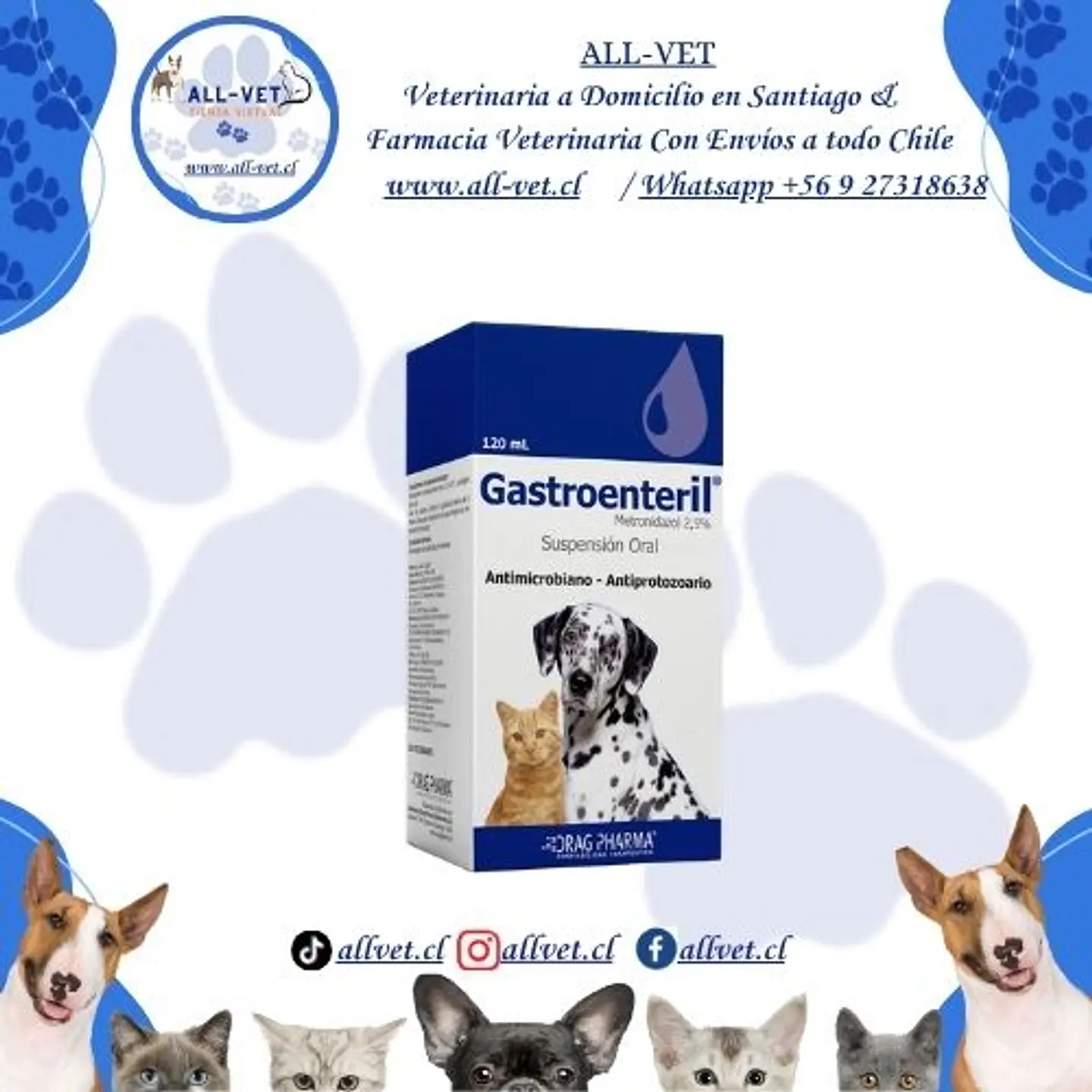 Gastroenteril 120 ML 1