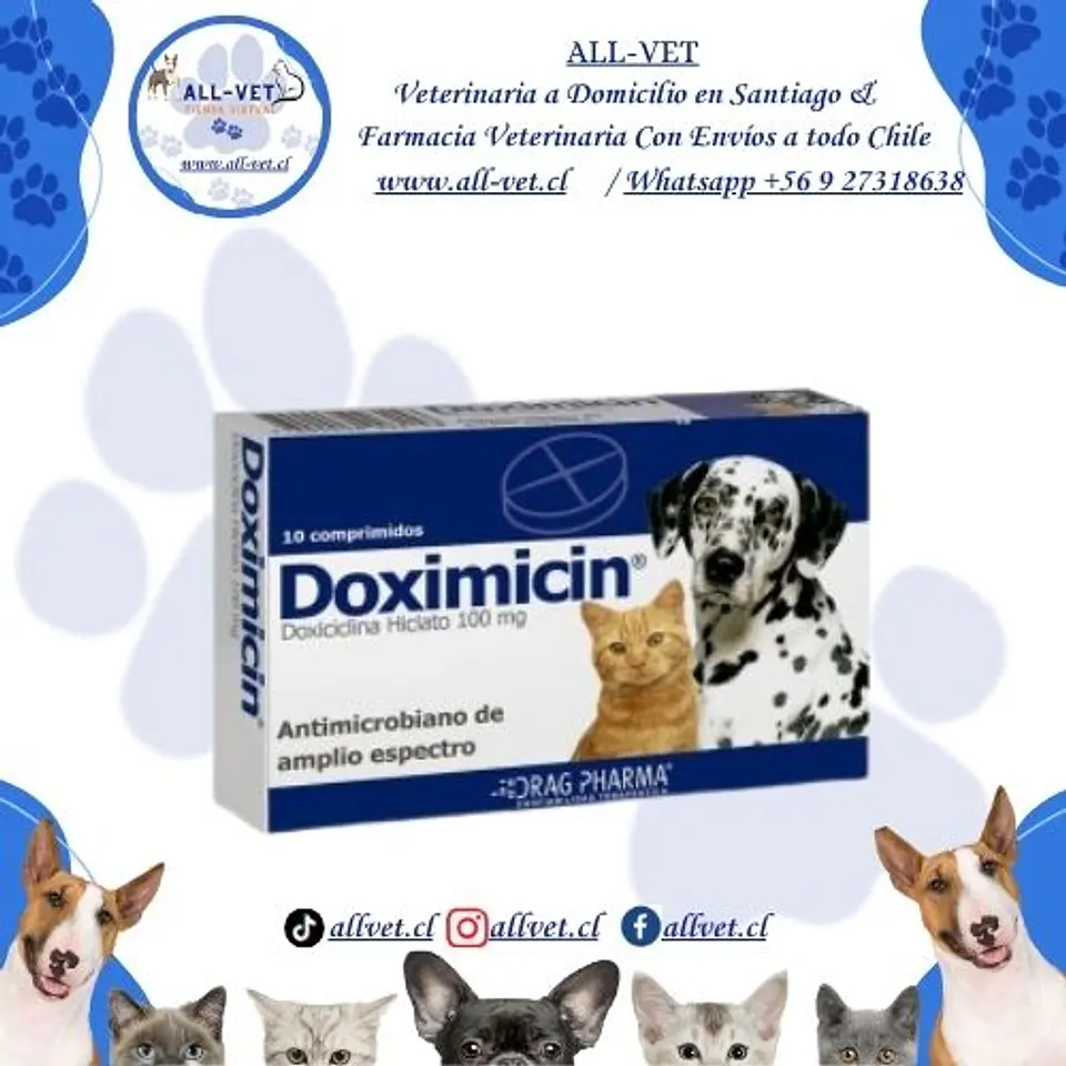 Doximicin 100 mg (10 comprimidos)  1