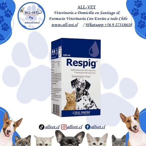 Respig Suspensión Oral 100 ml