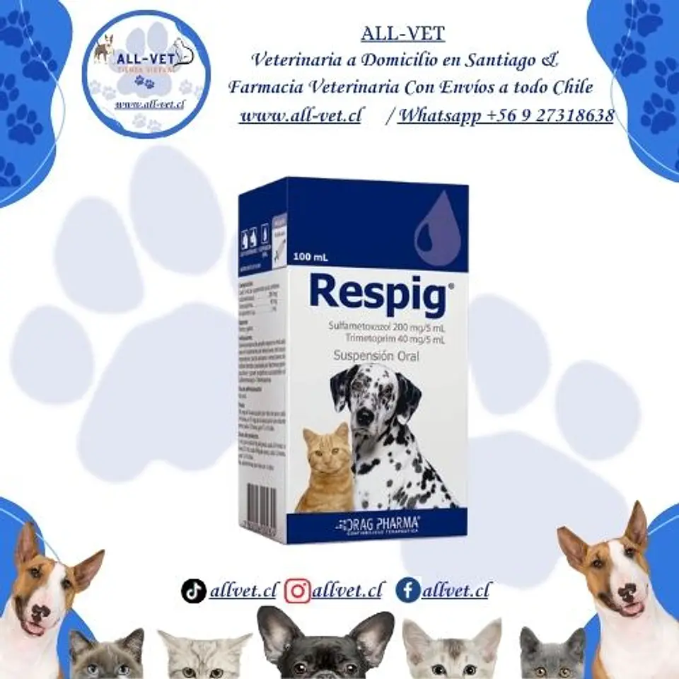 Respig Suspensión Oral 100 ml 1
