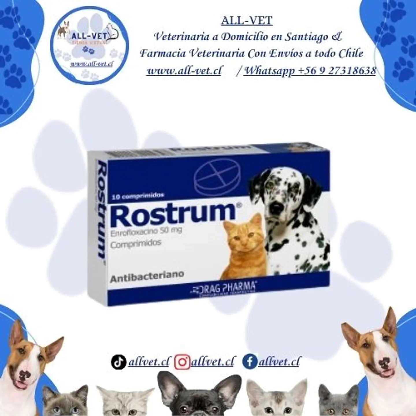 Rostrum 50 mg 1