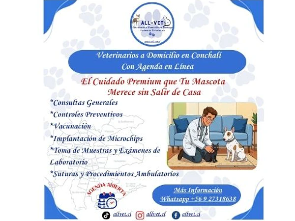<b>Veterinarios a Domicilio en Conchalí: El Cuidado Premium que Tu Mascota Merece sin Salir de Casa</b>