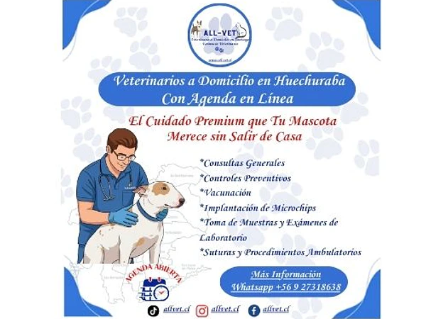 <b>Veterinarios a Domicilio en Huechuraba: El Cuidado Premium que Tu Mascota Merece sin Salir de Casa</b>