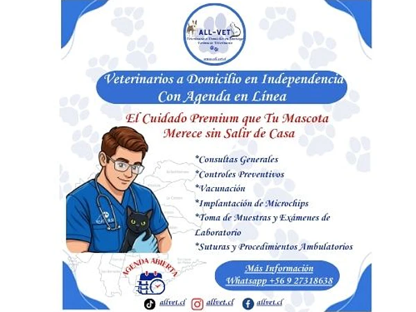 <b>Veterinarios a Domicilio en Independencia: El Cuidado Premium que Tu Mascota Merece sin Salir de Casa</b>