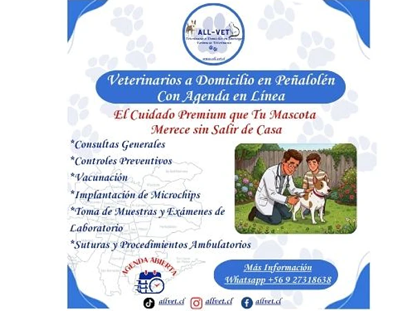 <b><h2>Veterinarios a Domicilio en Peñalolen</b>