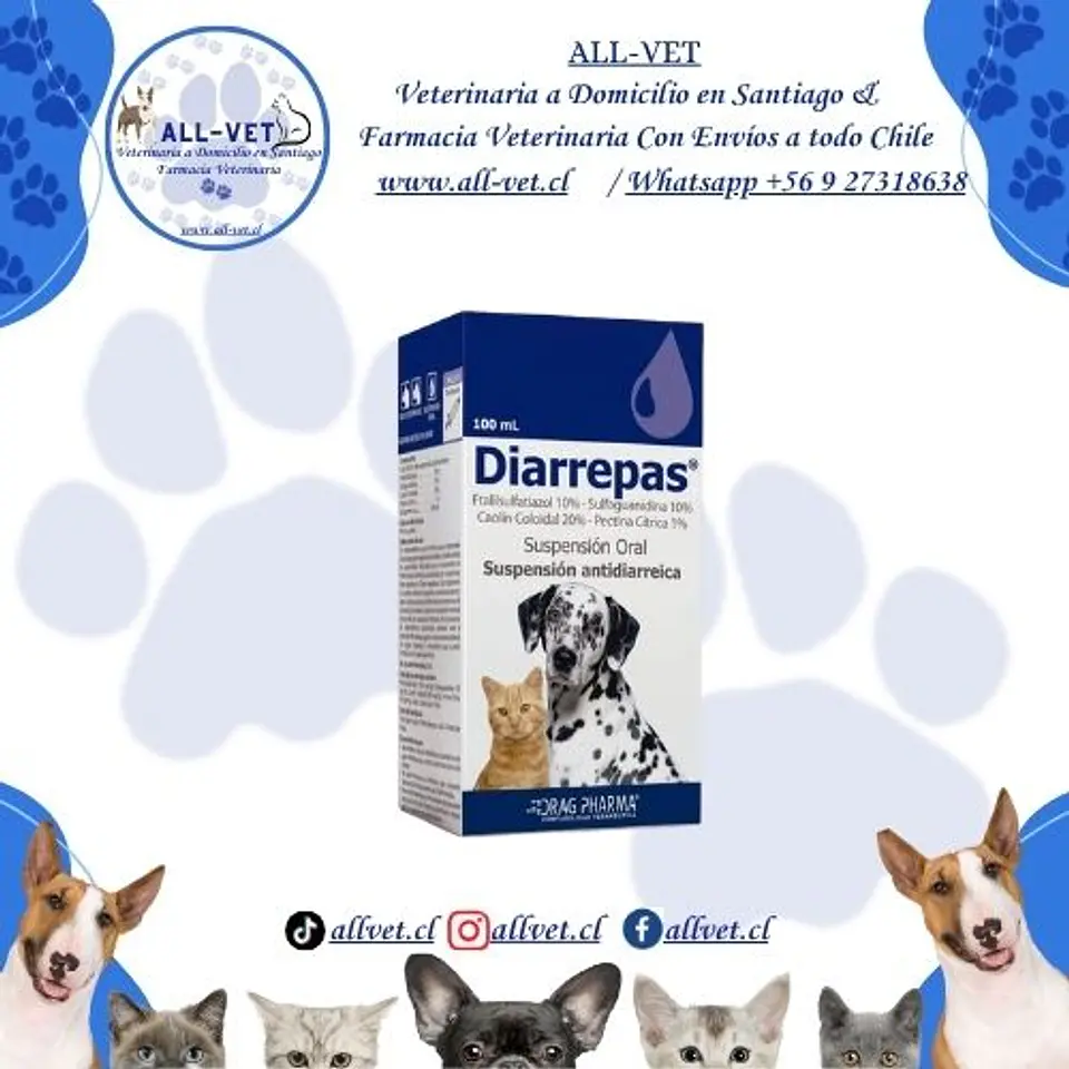 Diarrepas Suspensión Oral 100 ml  1