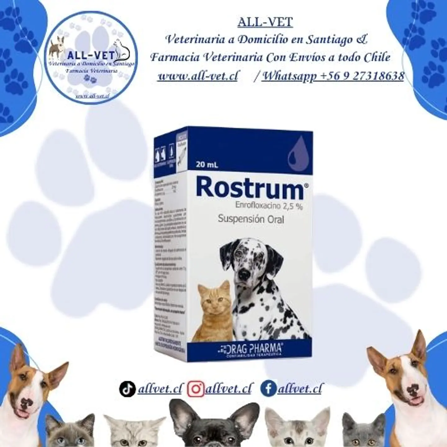 Rostrum Suspensión Oral 20 mg 1
